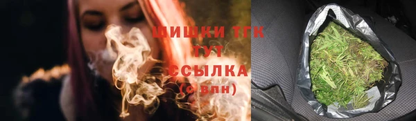прущий лед Белокуриха