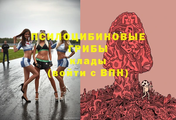 шишки Балабаново